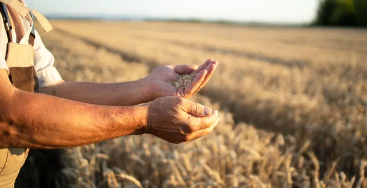 Tarım Sigortası